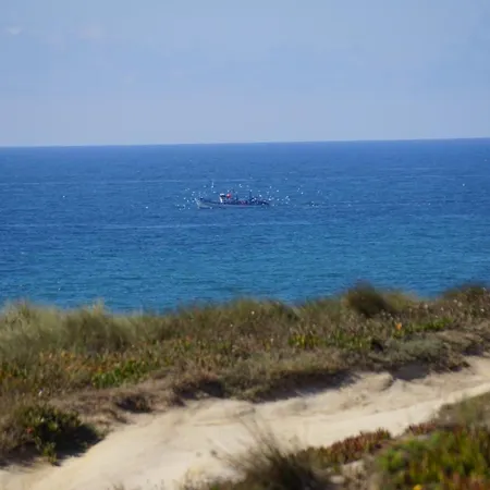 Alma Do Mar *